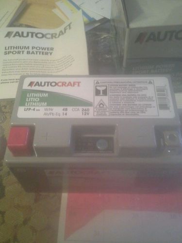 Autocraft power sport battery lithium lfp-4