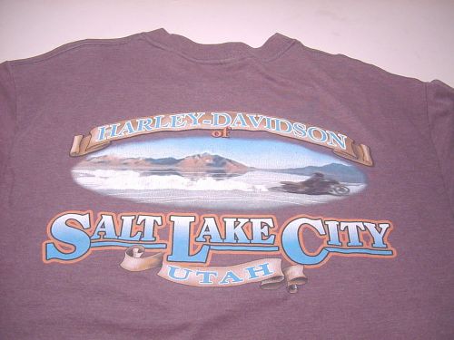 Harley davidson motorcycles of salt lake city utah (large) t-shirt