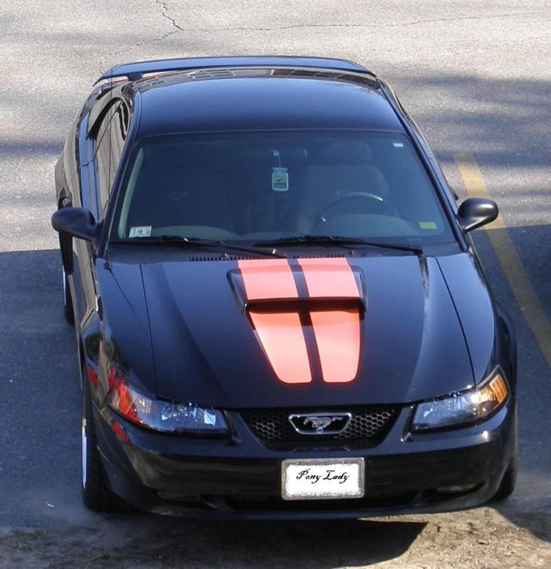 1999-2003 mustang gt 40th anniversary racing stripes hood side decals tapered 