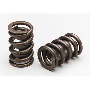 Lunati 74660-16 dual valve spring with damper set of 16 1.620&#034; o.d. new