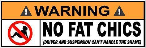 Warning: no fat chicks decal