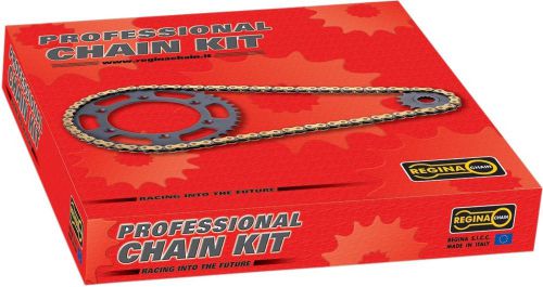 Regina 5zrp/106kka015 chain kit kaw klr650