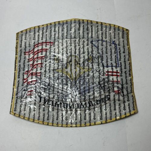 Right to bear arm eagle biker patch 10 inch patch