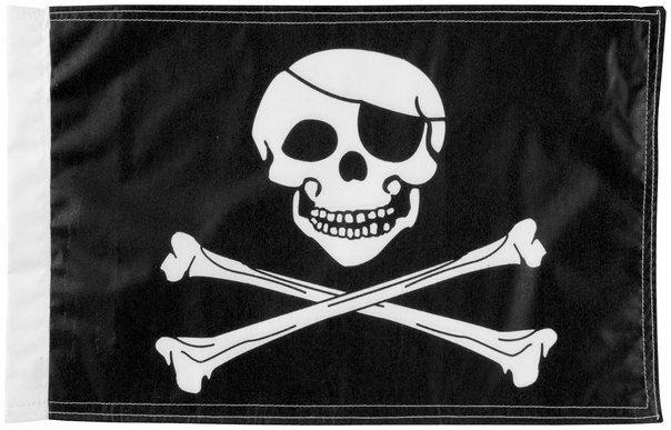 Pro pad 6 x 9 jolly roger flag highway safe universal