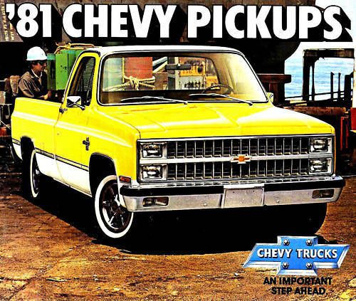 1981 chevy pickup truck brochure-c/k 10 20 30-4x4