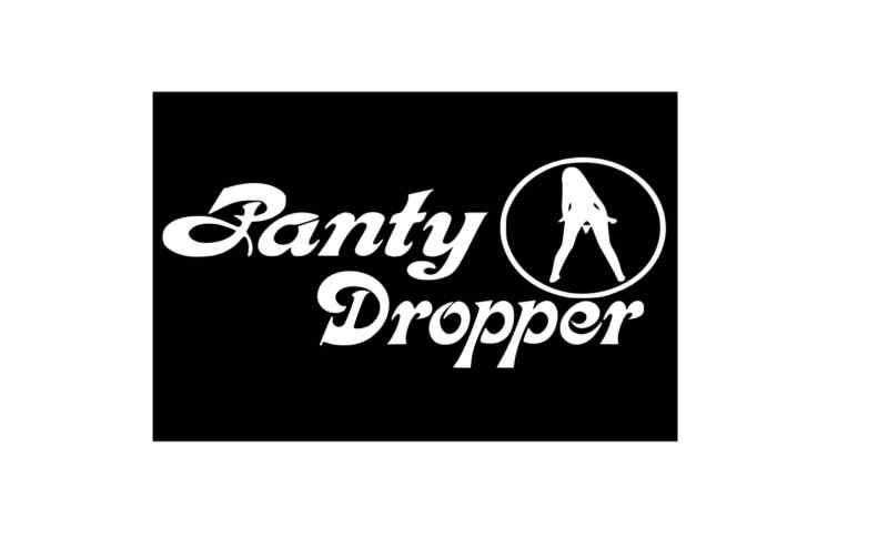 Panty dropper pink vinyl sticker laptop car decal truck