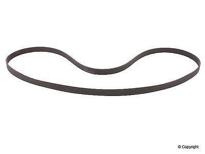 Wd express 676 33053 259 v-belt/fan belt-continental serpentine belt