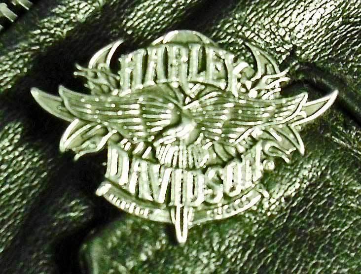 Flame flaming eagle harley-davidson motorcycle harley biker jacket  pin 1017