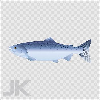 Decal sticker fish fresh water trout l 0500 x6ab3