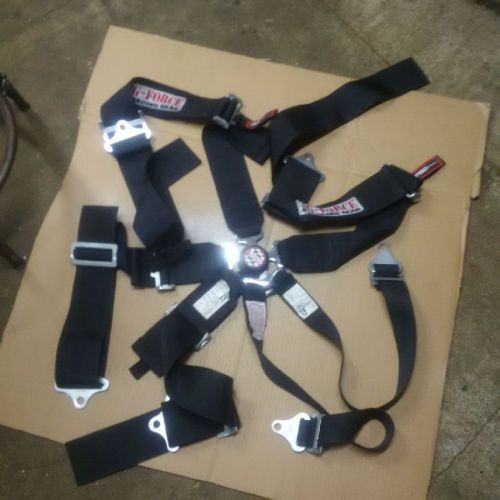G force 6  point harness camlock black   expired