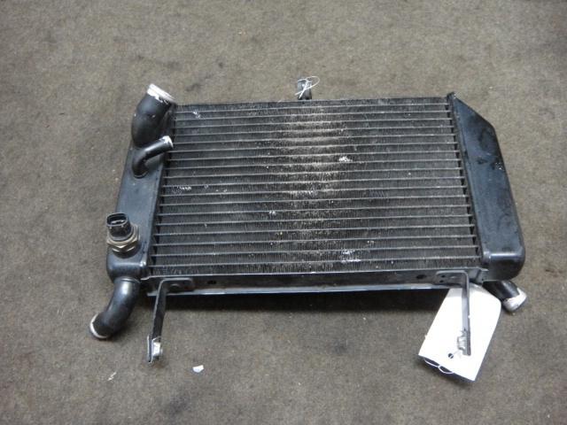 01 2001 suzuki tl1000 tl1000r radiator, lower #dd20