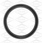 Victor jv1618 rear main bearing seal set