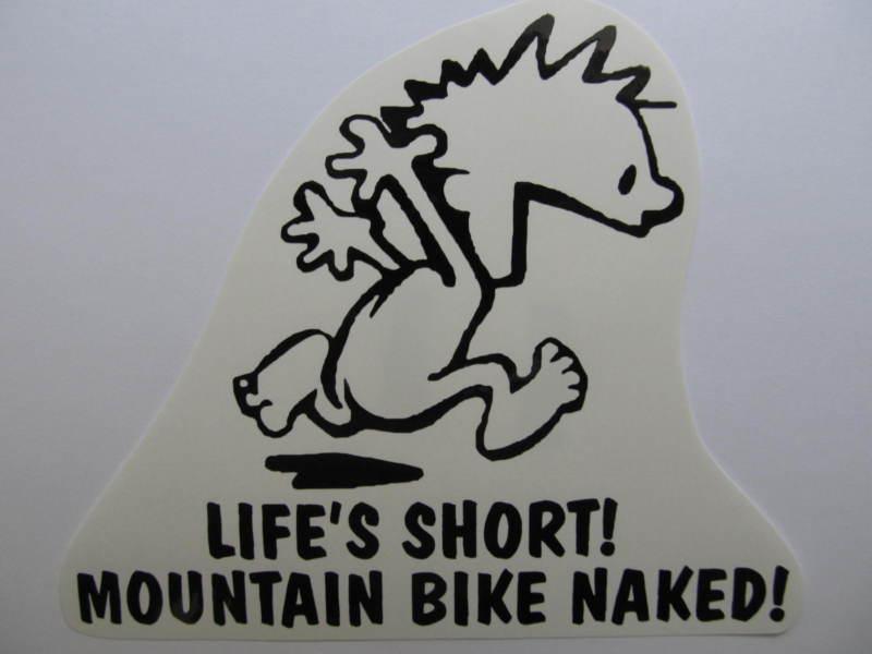 Mountain bike decal cannondale  trek kona giant specialized schwinn diamondback