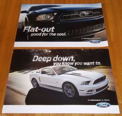 2013 ford mustang gt/cs california special and v6 pony package 2 sided poster!