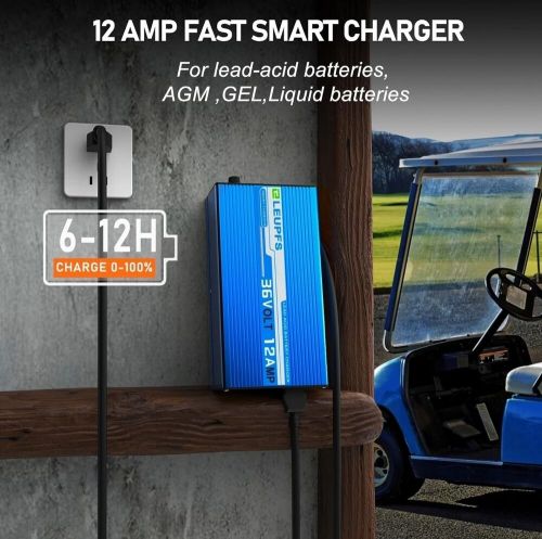 12 amp 36 volt golf cart battery charger for ezgo txt,upgrade trickle charge,6-1