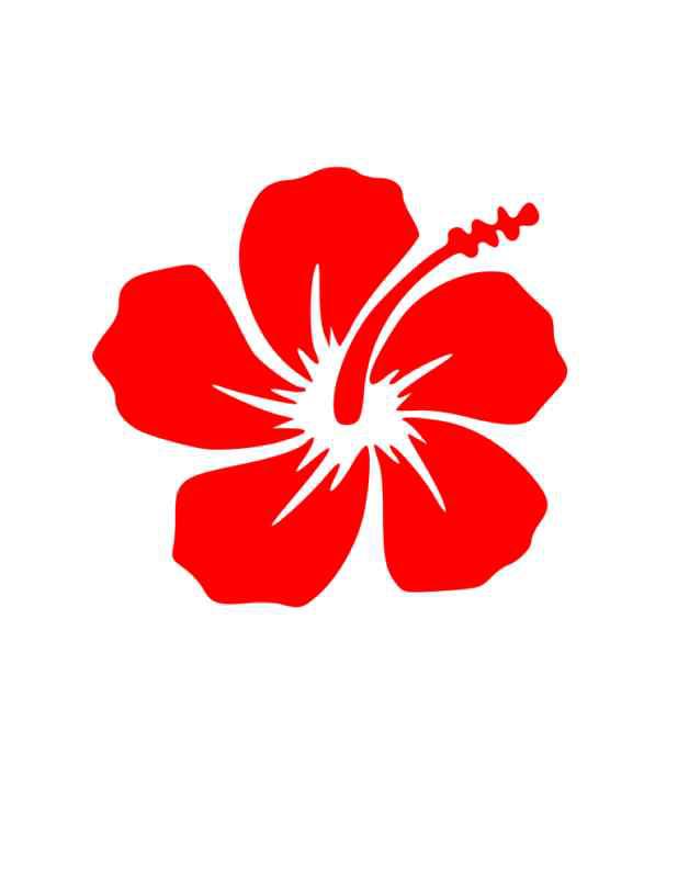 Red hibiscus flower  vinly sticker  decal hawaii pool 
