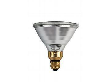 75 watt, 120 volt halogen par38 light bulbs (12)