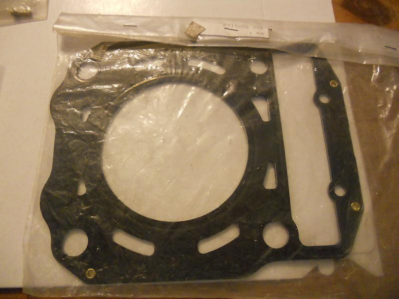 Nos polaris head gasket  a99ch45ca a99ch45ia a00ch46ca 3086152