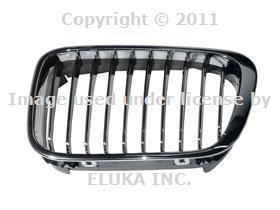 Bmw oem front kidney grille left  320i 323i 325i 325xi 328i 330i 330xi e46 by ez