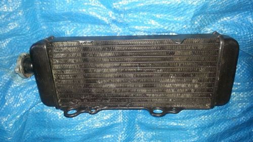 Tag kart 125cc radiator - old style