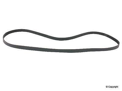 Wd express 676 54025 259 v-belt/fan belt-continental serpentine belt