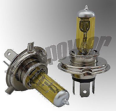 Buell s3 s3t thunderbolt 97-00 01 02 xenon halogen bulb yellow 60/55w 9003 h4