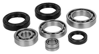 All balls differential bearing/seal kit 25-2023