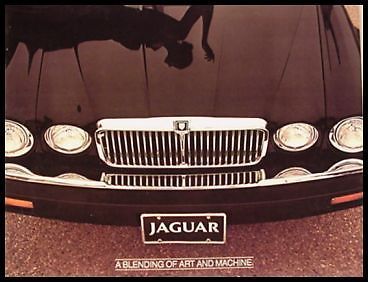 1981 jaguar prestige dealer car sales brochure xj6 series iii original xlnt 81