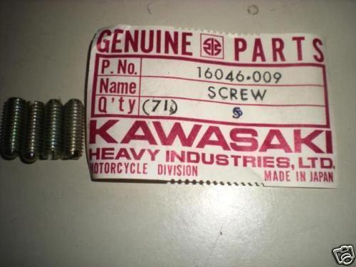 Nos kawasaki 1976-77 kz900 slotted screw 16046-009