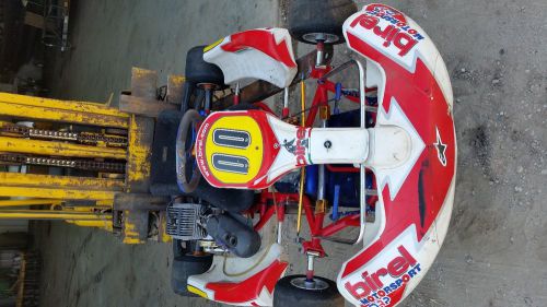 Birel hasse coyote racing kart package.  freeline, kt100, clone