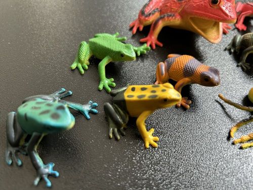 9 x amazon multi coloured toy frogs and 1 x spider