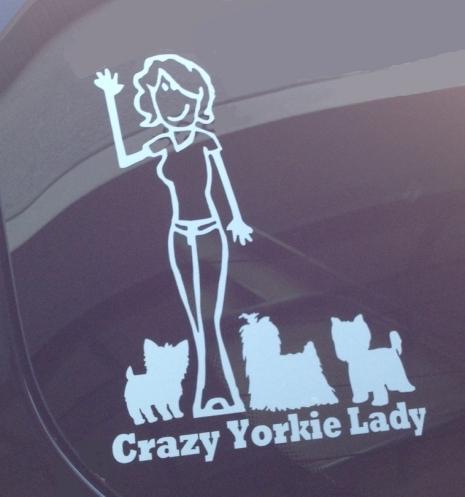 Crazy yorkie lady  **decal sticker auto car window laptop vinyl**