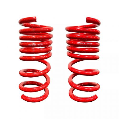 Roush lowering springs for 2018-2024 ford mustang gt coupe w/ magneride damping