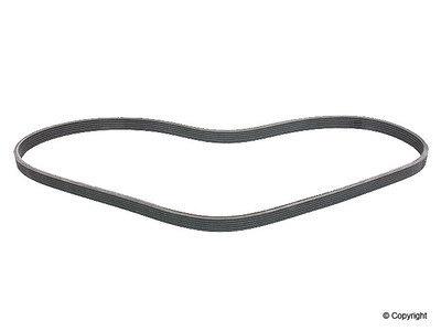 Wd express 676 54054 259 v-belt/fan belt-continental serpentine belt