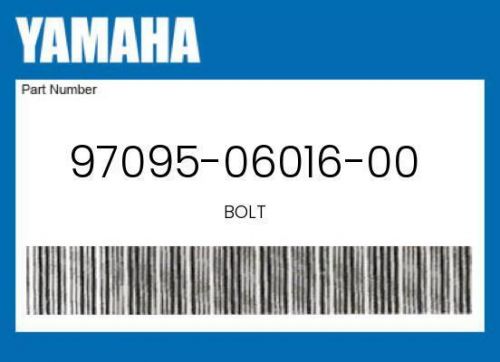 Yamaha genuine bolt - 97095-06016-00