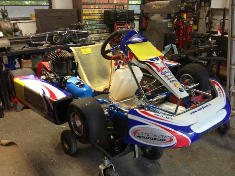 Birel easy race kart, iame 125cc air cooled motor  