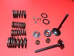 Engine valves rebuild kit manco american sportworks carter bros 150cc go kart