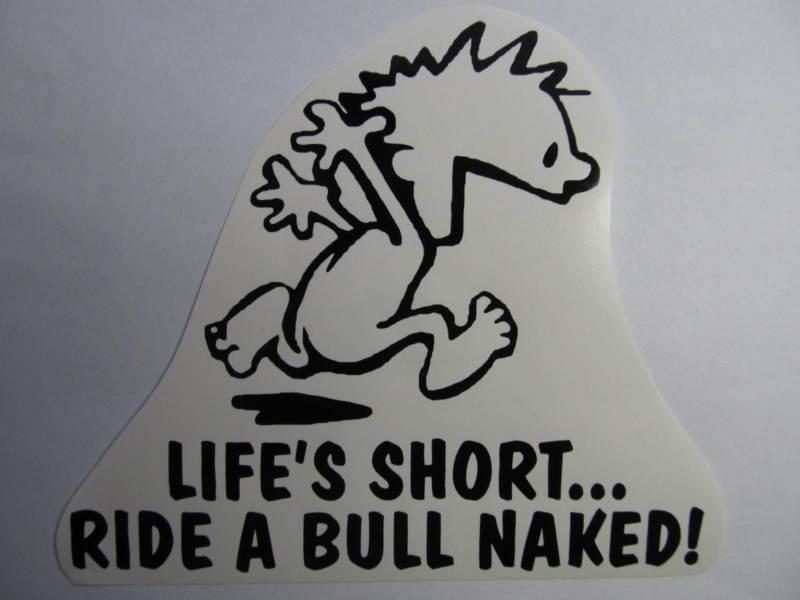 Bull ride riding decal mule horse trailer sticker cowboy cowgirl vinyl 