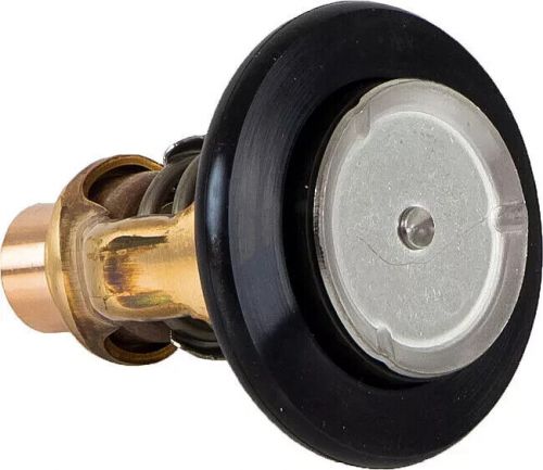 New oem yamaha 6aw-12411-00-00 - thermostat