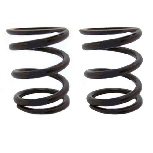 (2) pack of 22lb valve springs dj-1058