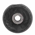 Raybestos 565-1227 lower control arm bushing or kit