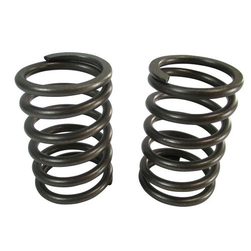 (2) pack of gx390 valve springs dj-3055