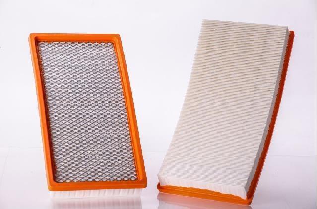 Premium guard air filter