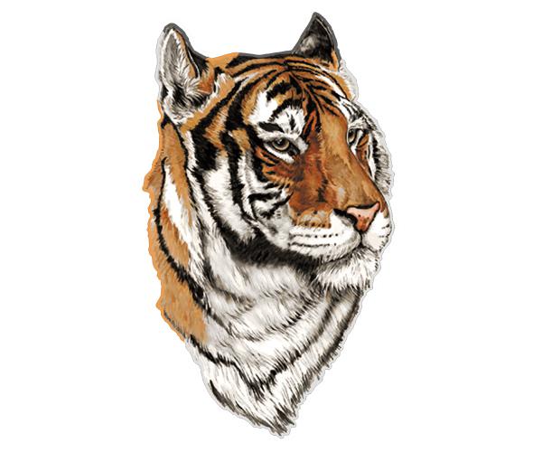 Tiger decal 5"x2.9" cat bengal siberian car vinyl bumper sticker (rh) zu1