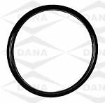 Victor c26118 water outlet gasket