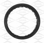 Victor jv1619 rear main bearing seal set