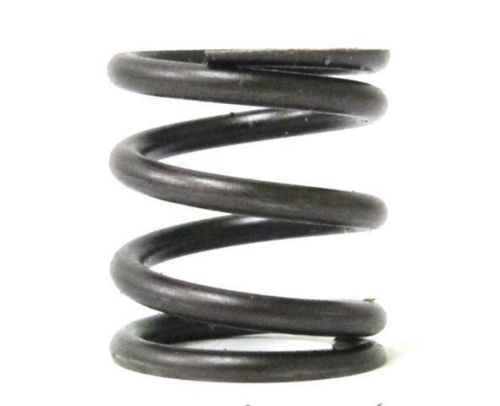 Valve spring, stock appearing, animal 6176