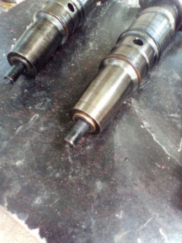 Used dt466 injectors.