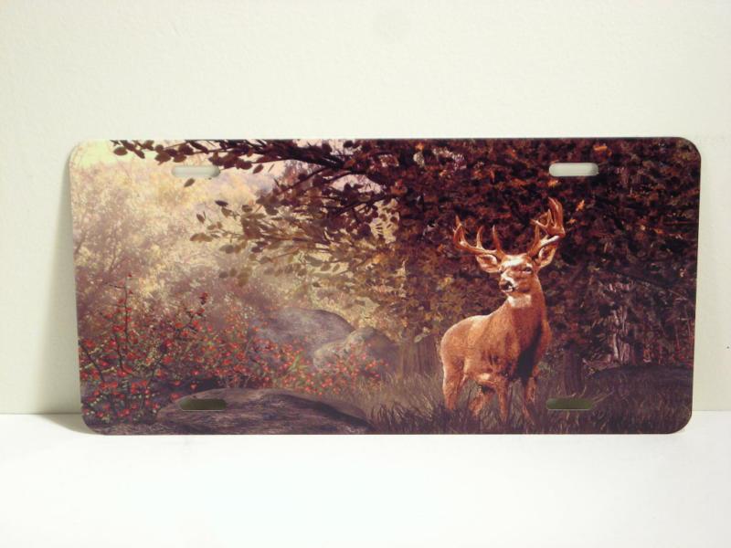 Deer buck in wild woods background metal vanity license plate tag