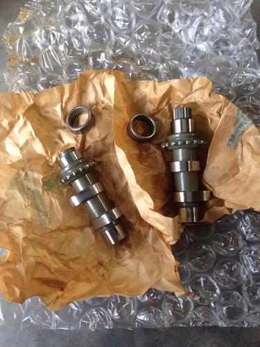 Harley davidson 110 cams